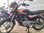 Bajaj CT100 8 2024