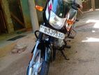 Bajaj CT100 BJJ9330 2024
