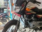 Bajaj CT100 Brand New [01] 2024