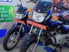 Bajaj CT100 Brand New #014 2024