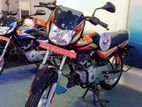 Bajaj CT100 Brand New #171 2024