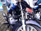 Bajaj CT100 Brand New 2024