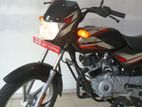 Bajaj CT100 Brand New 2024