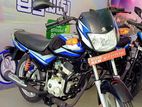 Bajaj CT100 Brand New 2024