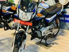 Bajaj CT100 Brand New 2024