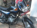 Bajaj CT100 Brand New 2024