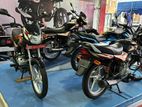 Bajaj CT100 Brand New 2024