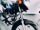 Bajaj CT100 Brand New 2024