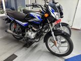 Bajaj CT100 Brand New 2026