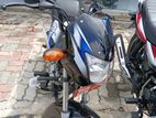 Bajaj CT100 Brand New 2026