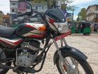 Bajaj CT100 Brand New [43] 2024