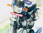Bajaj CT100 Brand New 701 2019