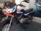 Bajaj CT100 Brand New(20) 2024