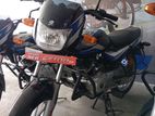 Bajaj CT100 Brand New(83) 2024