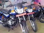 Bajaj CT100 Ea Brand New CT 2024