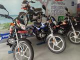 Bajaj CT100 Es Brand New 2024