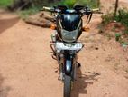 Bajaj CT100 2006