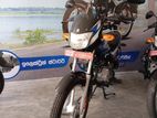 Bajaj CT100 New(06) 2024