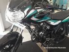 Bajaj Discover 125 Brand New #Green 2024