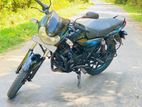 Bajaj Discover 135 2008