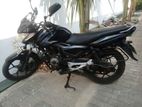 Bajaj Discover 2014