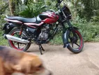 Bajaj Discover 2011
