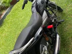 Bajaj Platina 100 Motorcycle for Rent