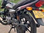 Bajaj Platina 100 PALATINA 2012