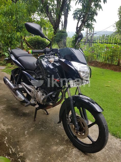 Bajaj Pulsar 135 2015 in Gampola | ikman