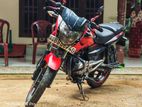 Bajaj Pulsar 135 1 2014