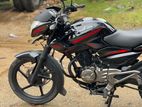 Bajaj Pulsar 135 2012