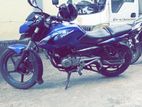 Bajaj Pulsar 135 135cc 2012