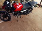 Bajaj Pulsar 135 2013