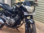 Bajaj Pulsar 135 2012
