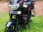 Bajaj Pulsar 135 2008