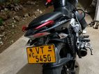 Bajaj Pulsar 135 2010