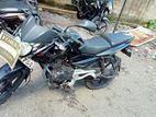 Bajaj Pulsar 135 2010