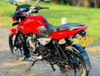 Bajaj Pulsar 135 2010