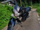 Bajaj Pulsar 135 2010