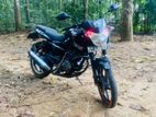 Bajaj Pulsar 135 2010