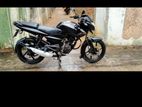 Bajaj Pulsar 135 2011