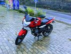 Bajaj Pulsar 135 2011