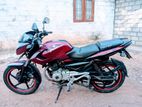 Bajaj Pulsar 135 2011
