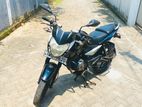 Bajaj Pulsar 135 2011