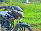 Bajaj Pulsar 135 2011