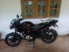Bajaj Pulsar 135 2011