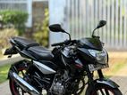 Bajaj Pulsar 135 2011