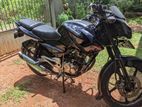 Bajaj Pulsar 135 2012