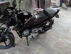 Bajaj Pulsar 135 2012