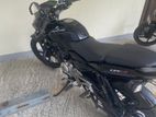 Bajaj Pulsar 135 2012